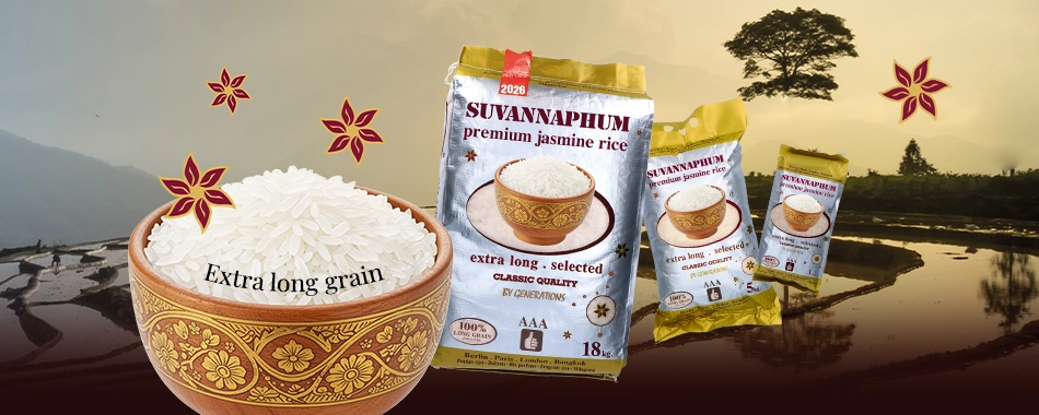 New crop arrival: Suvannaphum jasmine rice