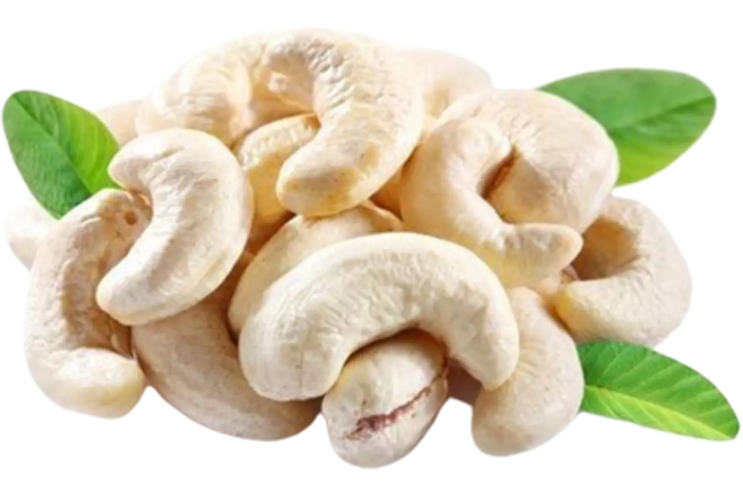 Cashew Nuts WW320 22.68kg