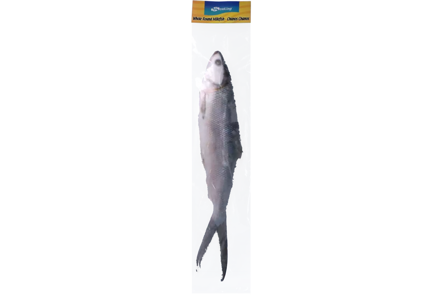 Seaking - Whole Round Milkfish 800g