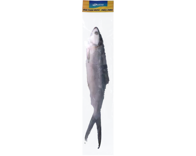 Seaking - Whole Round Milkfish 800g