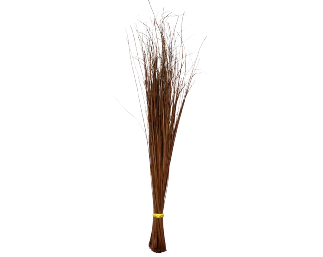 Tingting - Sweeping Broom Walis Tingting