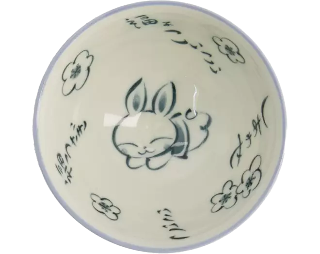 Tokyo Design Studio - Kawaii Bowl Rice Rabbit Blue 300ml
