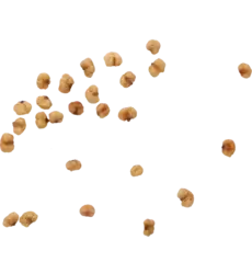 W.L. - Corn Bits Mixed 70g