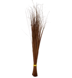 Tingting - Sweeping Broom Walis Tingting