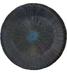 Tokyo Design Studio - Plate Sky Blue 29x3cm