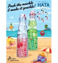 Poster - HATA KOSEN